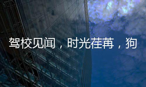 駕校見聞，時光荏苒，狗狗見證學(xué)員成長