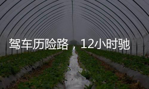 駕車歷險路，12小時馳騁千里歸家路漫漫