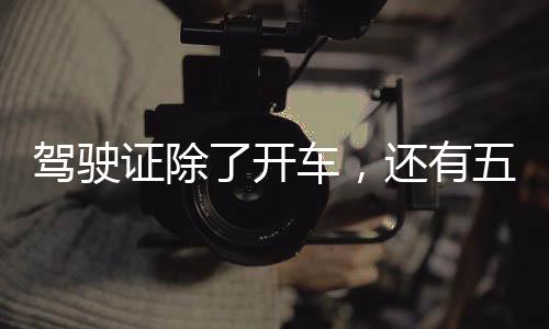 駕駛證除了開車，還有五大隱藏功能
