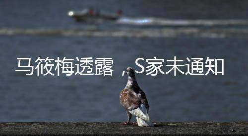 馬筱梅透露，S家未通知孩子們參加大S葬禮