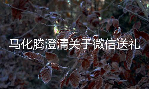 馬化騰澄清關(guān)于微信送禮物功能，務(wù)實(shí)創(chuàng)新，避免浮夸