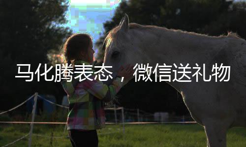馬化騰表態(tài)，微信送禮物功能不圖炒作與追捧，堅持務實用戶體驗為本