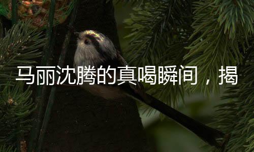 馬麗沈騰的真喝瞬間，揭開背后的故事與真實(shí)面貌