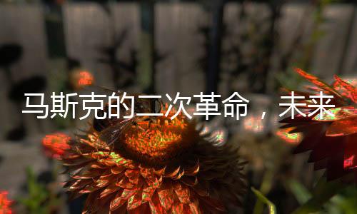 馬斯克的二次革命，未來之路能否成功？