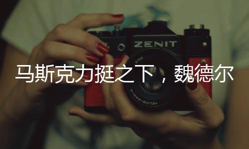 馬斯克力挺之下，魏德爾能否成為德國總理？