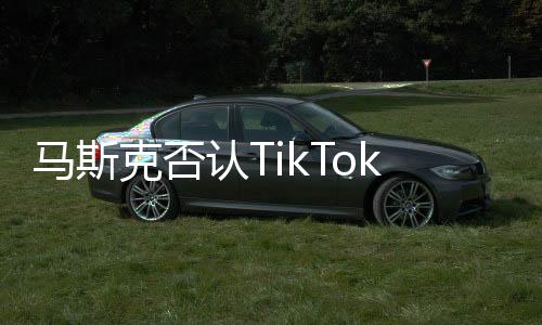 馬斯克否認(rèn)TikTok收購傳聞