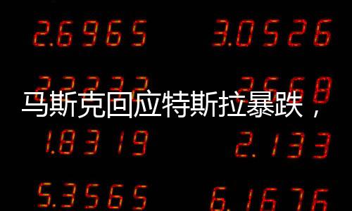 馬斯克回應(yīng)特斯拉暴跌，市場(chǎng)波動(dòng)背后的深度分析與展望