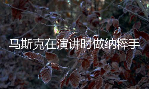 馬斯克在演講時(shí)做納粹手勢(shì)引發(fā)爭(zhēng)議，積極回應(yīng)引關(guān)注