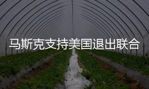 馬斯克支持美國退出聯(lián)合國和北約，全球格局的新思考？