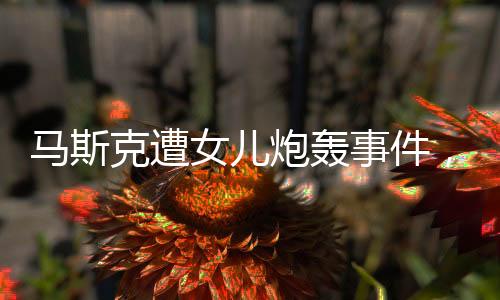 馬斯克遭女兒炮轟事件，數(shù)字一二三四背后的深度解析