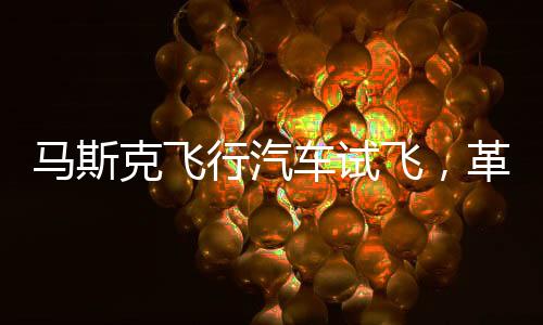 馬斯克飛行汽車試飛，革新交通的未來展望