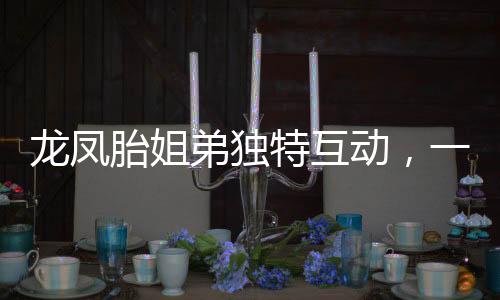 龍鳳胎姐弟獨特互動，一見面便掀起歡樂‘打鬧’戰(zhàn)