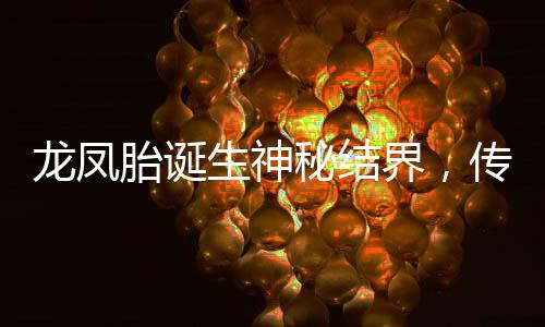 龍鳳胎誕生神秘結界，傳說與現(xiàn)實交匯的奇跡