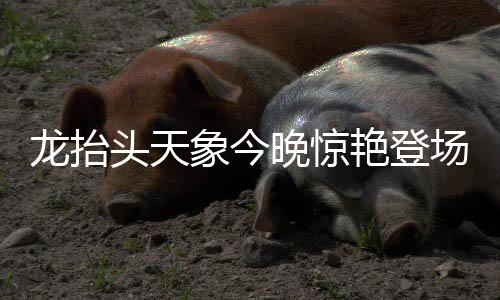 龍?zhí)ь^天象今晚驚艷登場，壯麗星辰昭示美好寓意