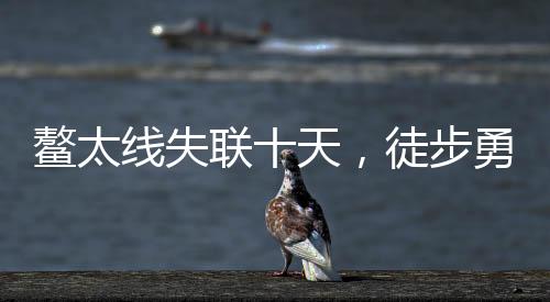 鰲太線失聯(lián)十天，徒步勇士奇跡生還