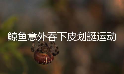 鯨魚(yú)意外吞下皮劃艇運(yùn)動(dòng)員又吐出，海洋奇跡還是驚魂一刻？