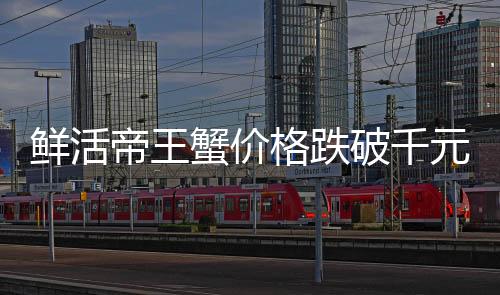鮮活帝王蟹價格跌破千元，市場反應熱烈