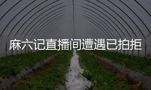 麻六記直播間遭遇已拍拒收風(fēng)波，探究背后的真相