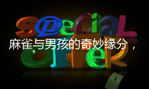 麻雀與男孩的奇妙緣分，一次不舍的相遇與放飛