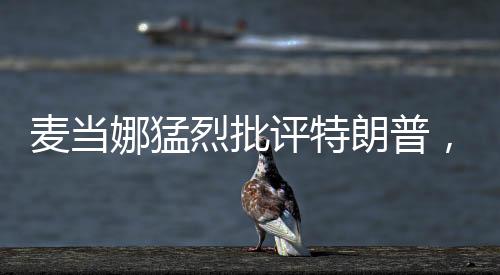 麥當(dāng)娜猛烈批評(píng)特朗普，一個(gè)引人矚目的輿論風(fēng)暴