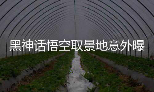 黑神話悟空取景地意外曝光，驚艷畫面竟現(xiàn)于鉛筆尖