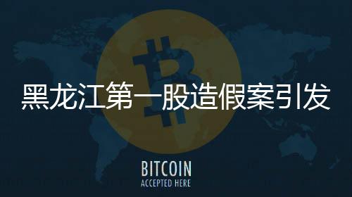 黑龍江第一股造假案引發(fā)市場(chǎng)震動(dòng)，全方位透視事件背后真相