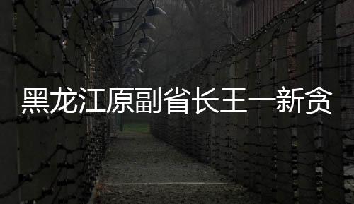 黑龍江原副省長(zhǎng)王一新貪腐案，涉案金額達(dá)1.29億受審紀(jì)實(shí)