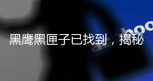 黑鷹黑匣子已找到，揭秘事件背后的故事