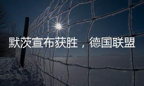 默茨宣布獲勝，德國(guó)聯(lián)盟黨贏得大選