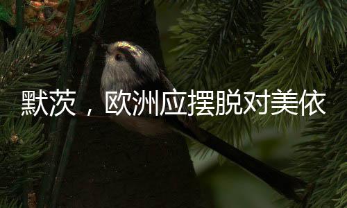 默茨，歐洲應(yīng)擺脫對(duì)美依賴