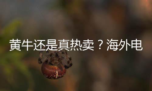 黃牛還是真熱賣？海外電商RTX 50系列顯卡20分鐘搶光