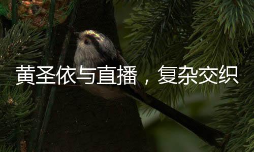 黃圣依與直播，復(fù)雜交織的輿論探討