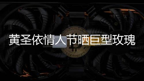 黃圣依情人節(jié)曬巨型玫瑰，浪漫驚喜引發(fā)網(wǎng)友熱議