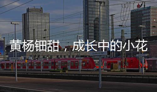 黃楊鈿甜，成長中的小花未來可期