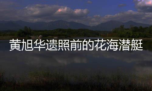 黃旭華遺照前的花海潛艇，緬懷傳奇人物的無盡敬意