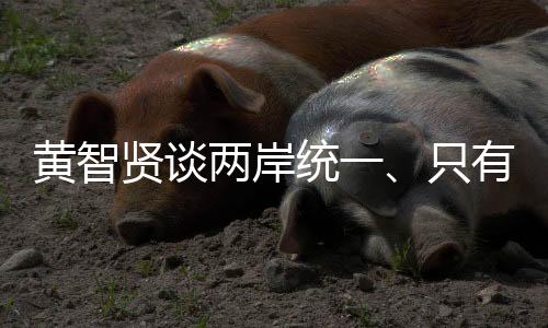 黃智賢談兩岸統(tǒng)一、只有統(tǒng)一才能保障臺灣不再被美國掠奪