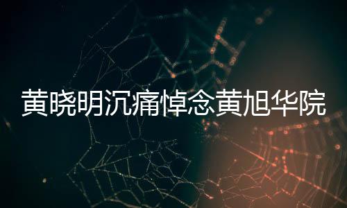 黃曉明沉痛悼念黃旭華院士，共同緬懷科學(xué)巨匠