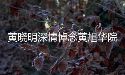黃曉明深情悼念黃旭華院士，科技巨星隕落，懷念無限