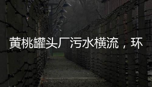 黃桃罐頭廠污水橫流，環(huán)保問題亟待解決
