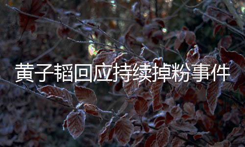 黃子韜回應(yīng)持續(xù)掉粉事件，內(nèi)心深感失望與傷心