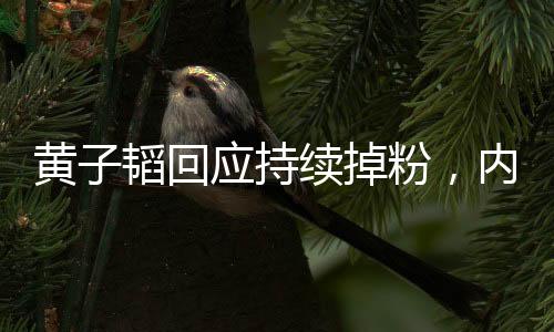黃子韜回應持續(xù)掉粉，內外因素交織，明星粉絲困境之思考