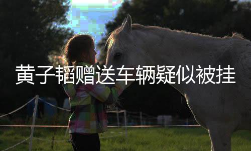 黃子韜贈送車輛疑似被掛二手平臺，引發(fā)關(guān)注熱議