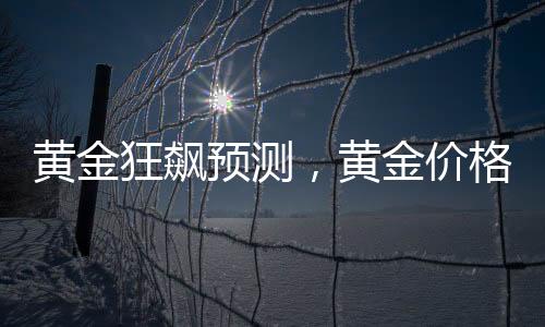 黃金狂飆預(yù)測，黃金價(jià)格有望突破至5000美元，投資熱點(diǎn)分析與展望