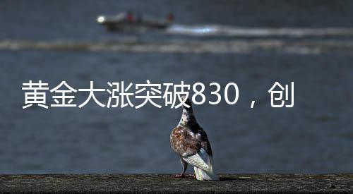 黃金大漲突破830，創(chuàng)出歷史新高度！市場(chǎng)掀起新熱潮！