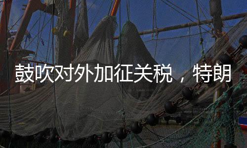 鼓吹對(duì)外加征關(guān)稅，特朗普：“為了讓美國再次富有”