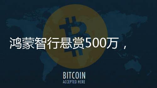 鴻蒙智行懸賞500萬(wàn)，引領(lǐng)智能出行新紀(jì)元的一二三四五六七八九十