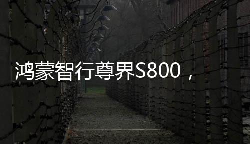 鴻蒙智行尊界S800，一款引領(lǐng)未來的智能座駕，預(yù)計上半年隆重上市