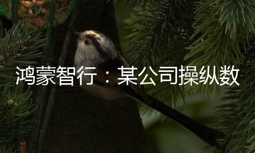 鴻蒙智行：某公司操縱數(shù)十家MCN機構抹黑，多人被抓