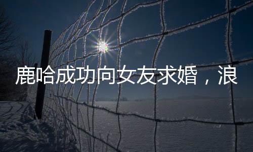 鹿哈成功向女友求婚，浪漫瞬間引爆全網(wǎng)熱議