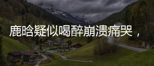 鹿晗疑似喝醉崩潰痛哭，深夜發(fā)文引人關(guān)注